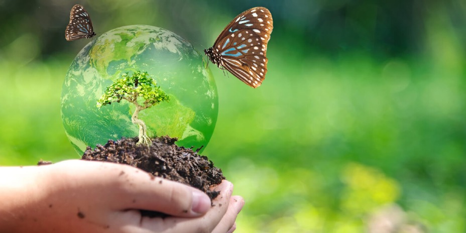 BIODIVERSITY