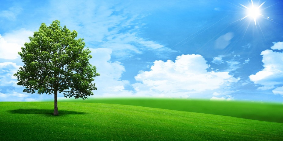 Green Landscaping